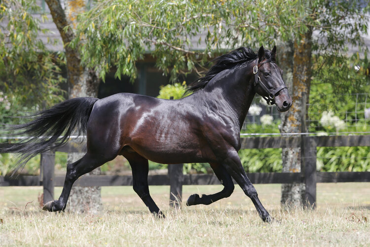 Bettors Delight